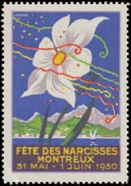 Fete des Narcisses