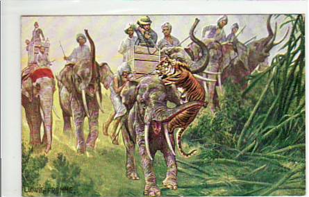 Tiere Elefanten Indien Künstlerkarte Ludwig Fromme