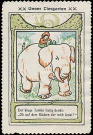 Elefant Jumbo