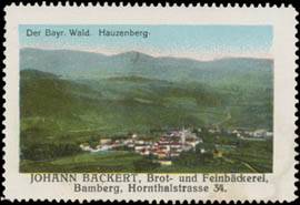 Der Bayerischer Wald - Hauzenberg