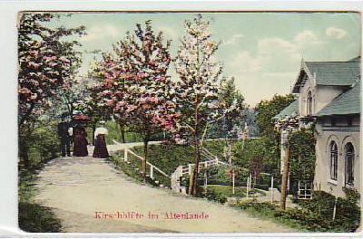 Altenlande Kirschblüte bei Hamburg ca 1925