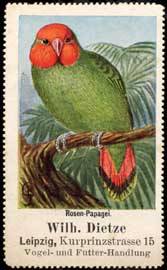 Rosen-Papagei