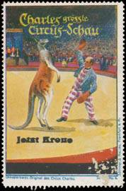 Känguru Boxen - Zirkus Charles-Krone