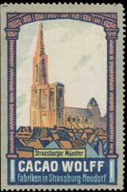 Straßburger Münster