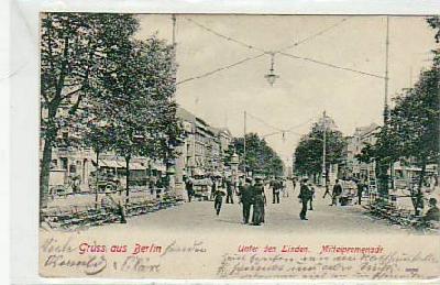 Berlin Mitte Unter den Linden 1904