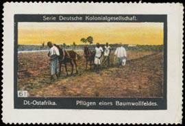 Deutsch-Ostafrika Pflügen eines Baumwollfeldes
