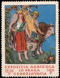 Expositia Agricola