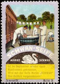 Schwan - Seife