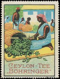 Auslese vom Ceylon Tee Böhringer