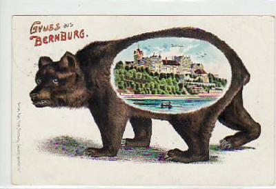 Bernburg an der Saale mit Bär 1910