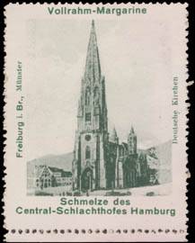 Münster von Freiburg/Breisgau
