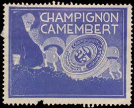 Champignon Camembert Käse