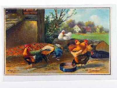 Hühner / Geflügel, Maler