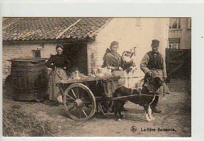 Hunde-Karren Flandern Belgien ca 1910