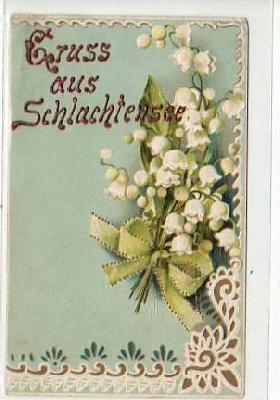 Berlin Zehlendorf Schlachtensee Prägekarte ca 1900