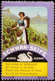 Schwan - Seife
