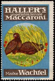Hallers ungefärbte feinste Maccaroni Marke Wachtel