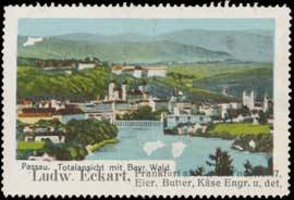 Passau Totalansicht