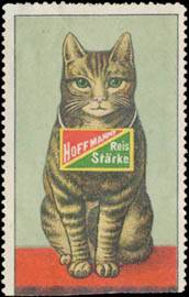 Hoffmanns Reis-Stärke - Katze