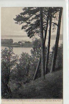 Berlin Grunewald von den Bergen auf Lindwerder 1910