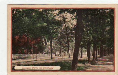 Berlin Spandau Stadtwald ca 1925