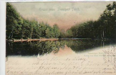 Detmold Donoper Teich 1901