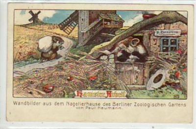Berlin Tiergarten Paul Neumann Bild im Nagetierhaus 1910