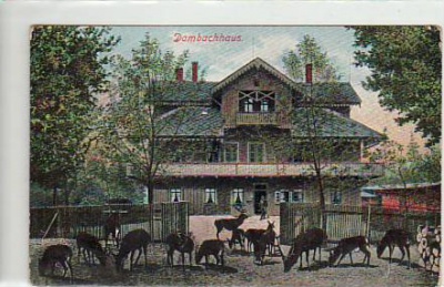 Thale im Harz Dambachhaus ca 1915