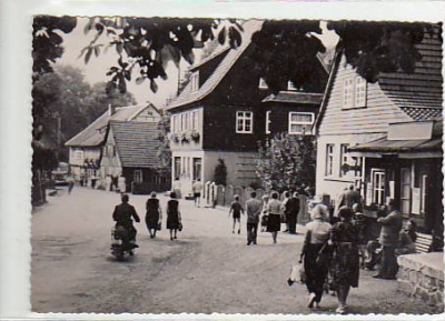 Altenbrak Bodetal,Harz 1962