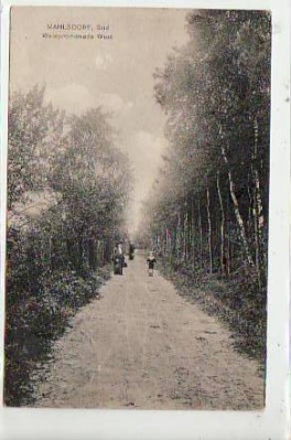 Berlin Mahlsdorf Süd Waldpromenade 1914