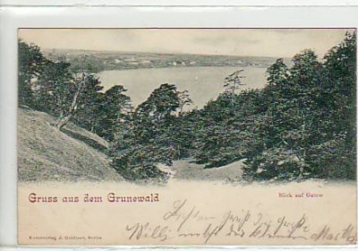 Berlin Grunewald Blick auf Gatow 1901