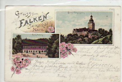 Falken Selkethal Burg Falkenstein bei Harzgerode,Meiseberg Litho