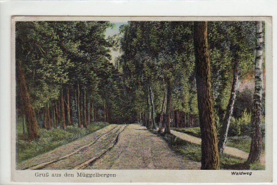 Berlin Müggelsee Waldweg Müggelbergen vor 1945