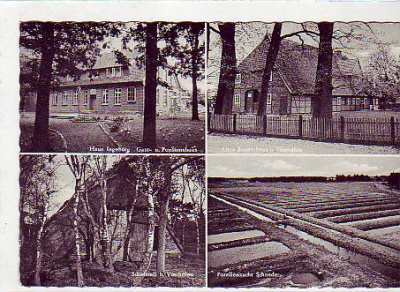 Vierhöfen bei Winsen Luhe Lüneburger Heide 1964