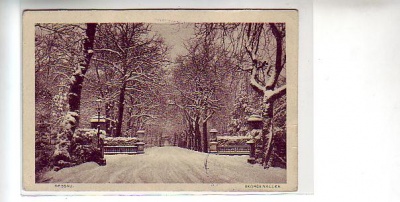 Dessau Georgenallee im Winter ca 1930