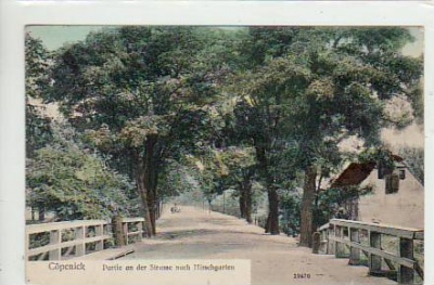 Berlin Köpenick Strasse nach Hirschgarten 1907