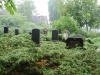 Jüdischer Friedhof Fürstenberg (Oder).jpg