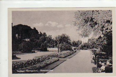 Ostseebad Heringsdorf Usedom Rosengarten ca 1950