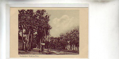 Nieblum auf Föhr Strasse ca 1925